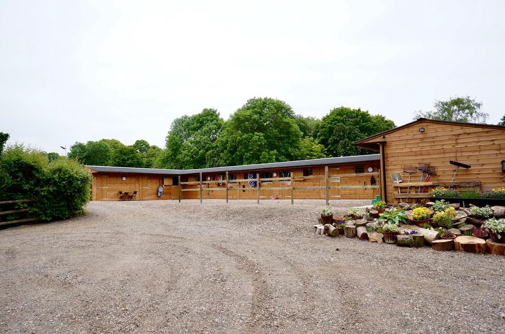 Property photo 3 of 50