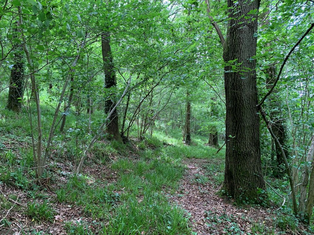 Property photo 3 of 4