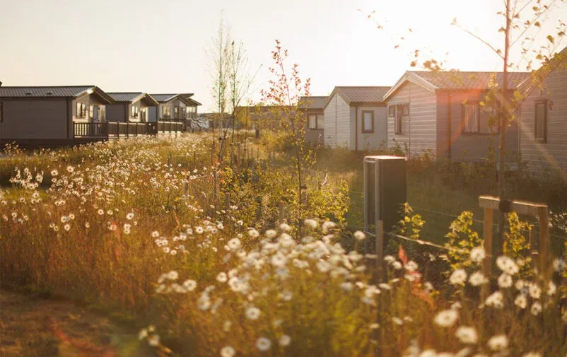 Property photo 2 of 9 Padstow 7881 Edit Resized 802x505 F50 50