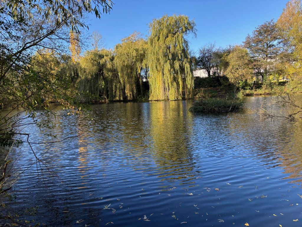 Property photo 3 of 12 Photo 1