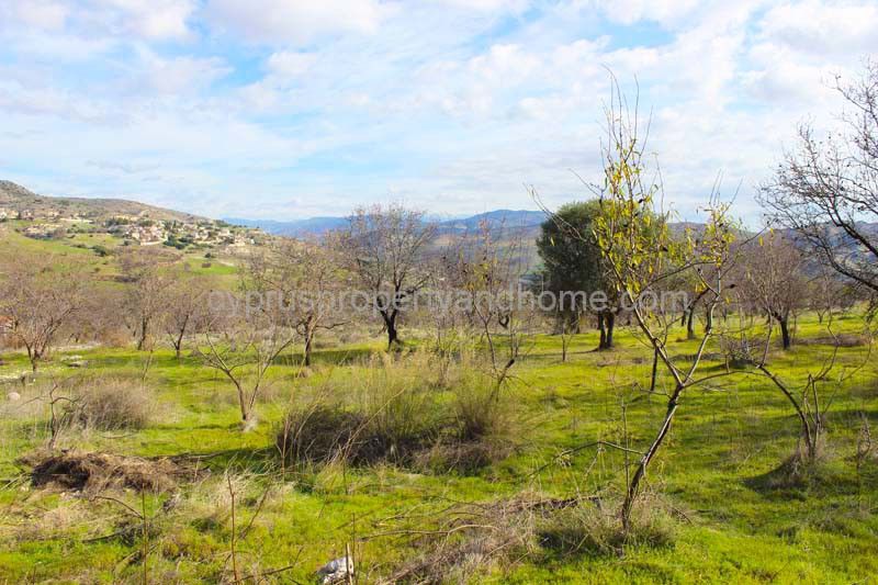 Property photo 2 of 4