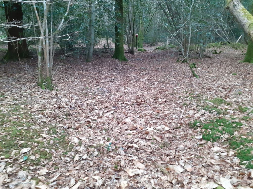 Property photo 2 of 5