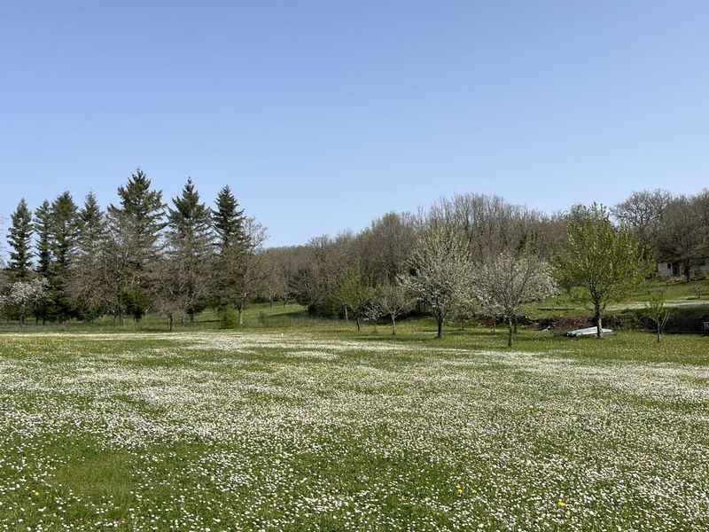 Property photo 2 of 47 Photo 2