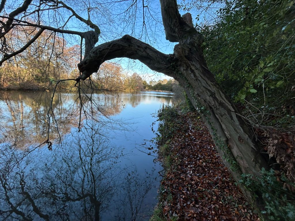 Property photo 3 of 6 Img_6110