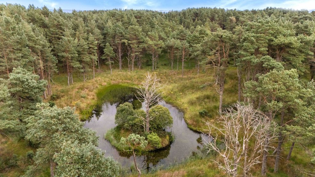 Additional image 5 of Land for saleHilton, Dornoch IV25