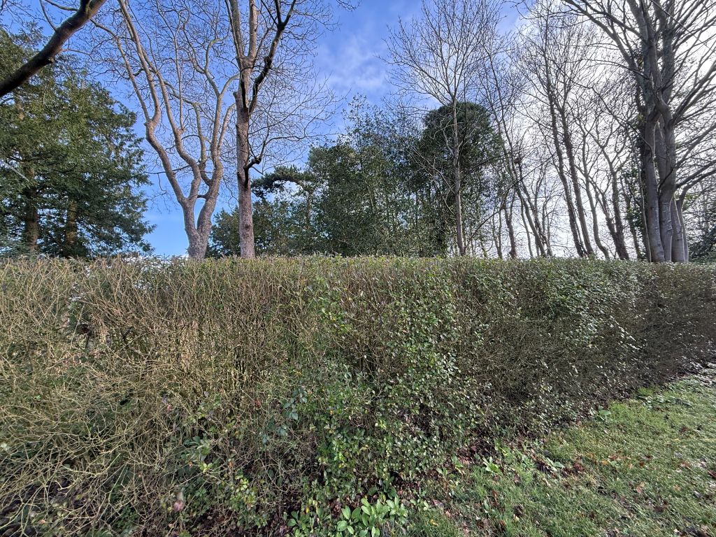 Property photo 3 of 4