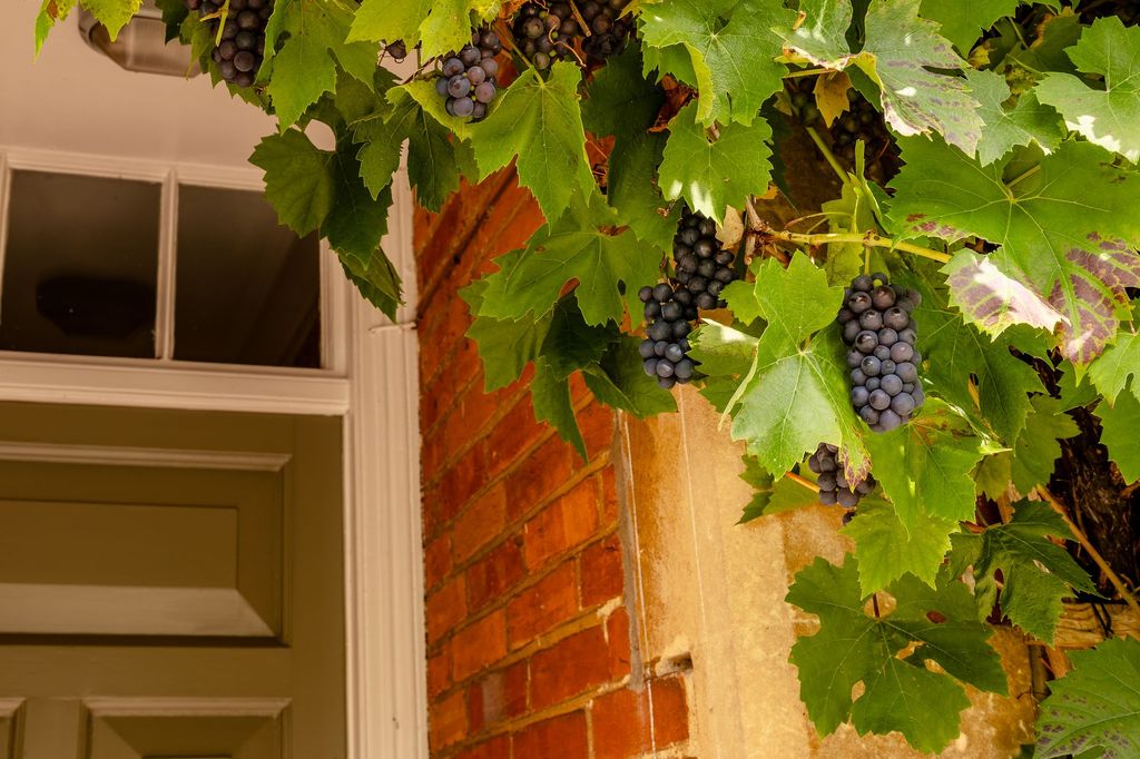 Property photo 2 of 29