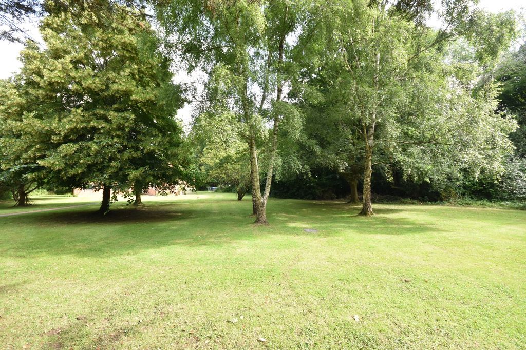 Property photo 3 of 11 Picture No. 14
