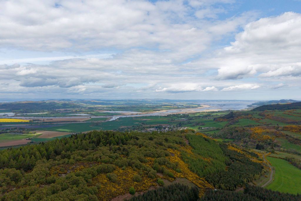 Additional image 10 of Land for saleNorth Of Drumcairn Farm, Abernethy, Perthshire PH2