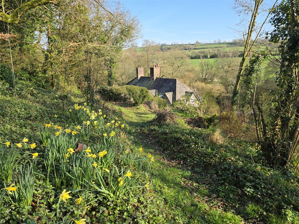 Property photo 3 of 34 Garden