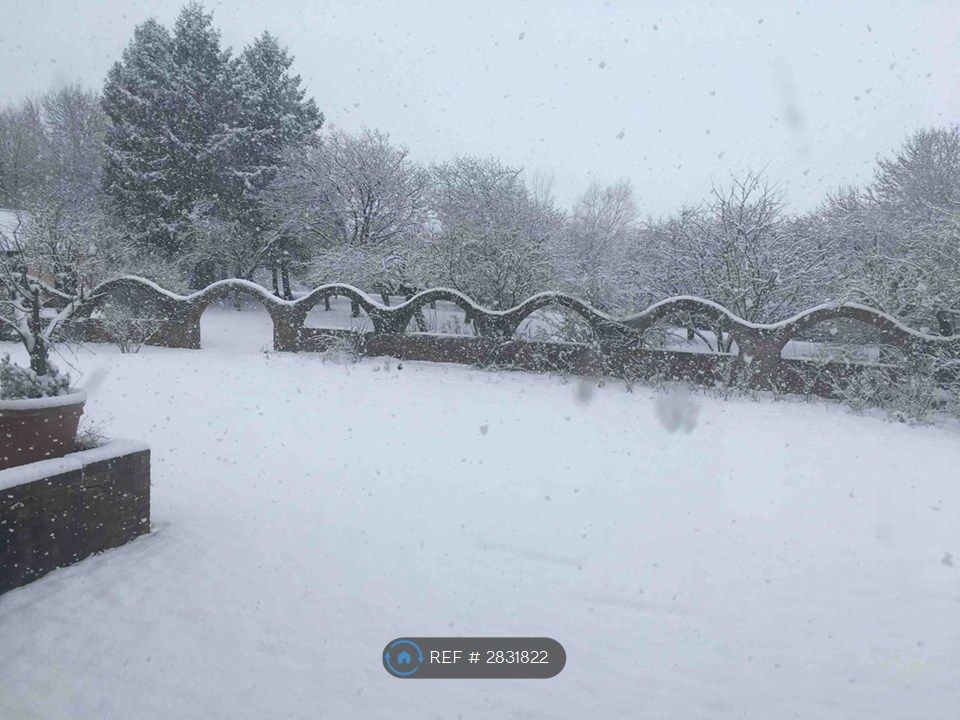 Property photo 3 of 17 The Back Garden Giving Way To The Orchard