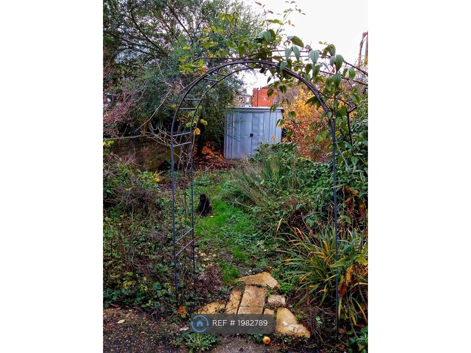 Property photo 1 of 11 Back Garden