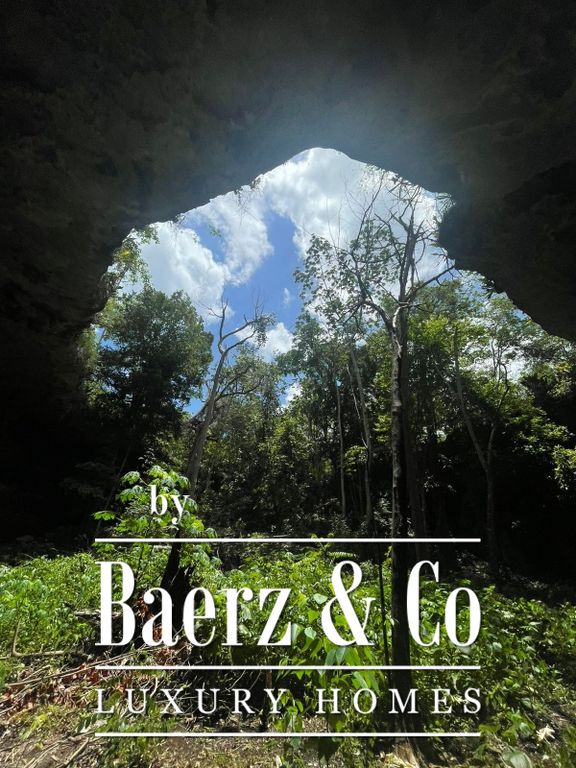 Property photo 1 of 50