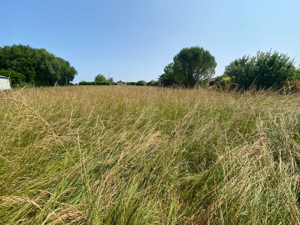 Property photo 1 of 1
