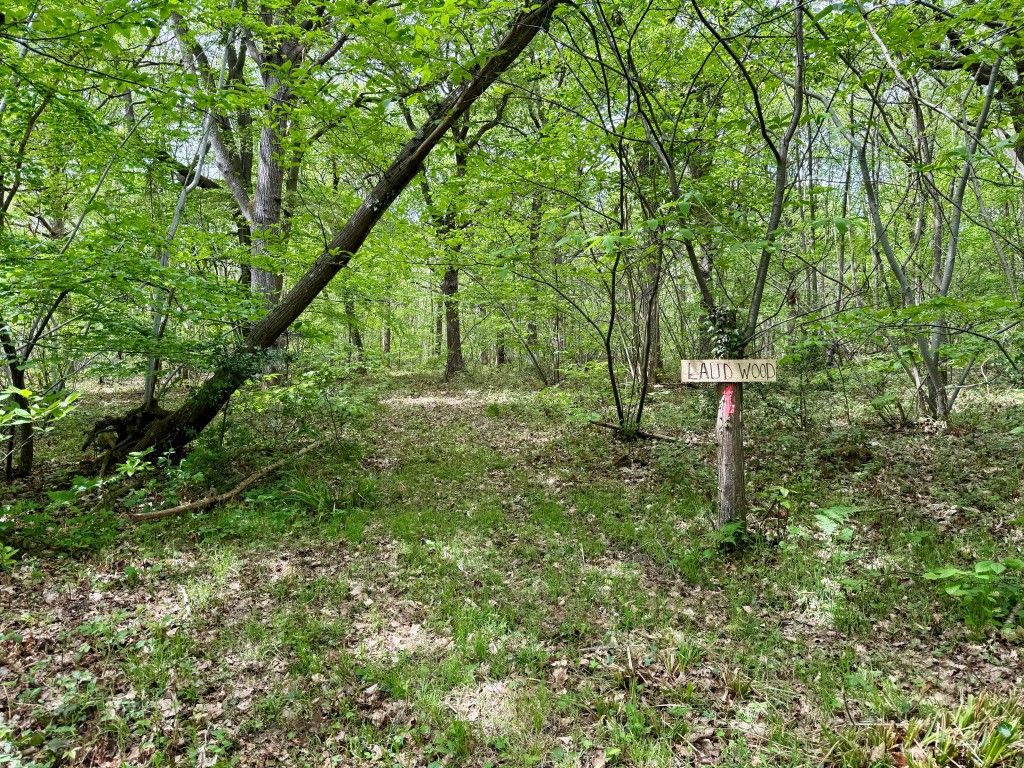 Property photo 1 of 5 Track Onto Woodland