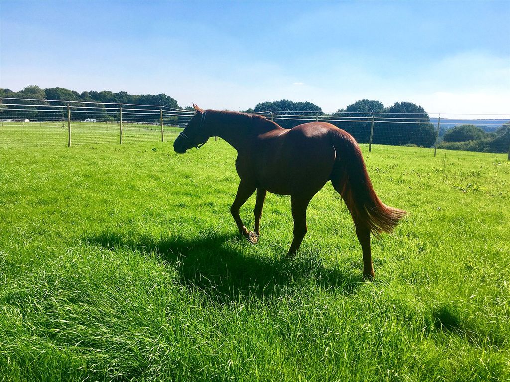 Property photo 1 of 16 Picture No. 20