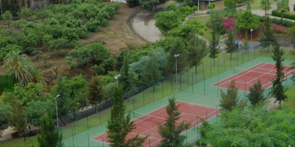 Property photo 3 of 31