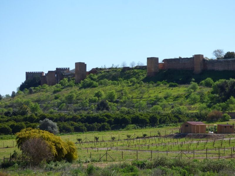 Property photo 3 of 18 Img 2