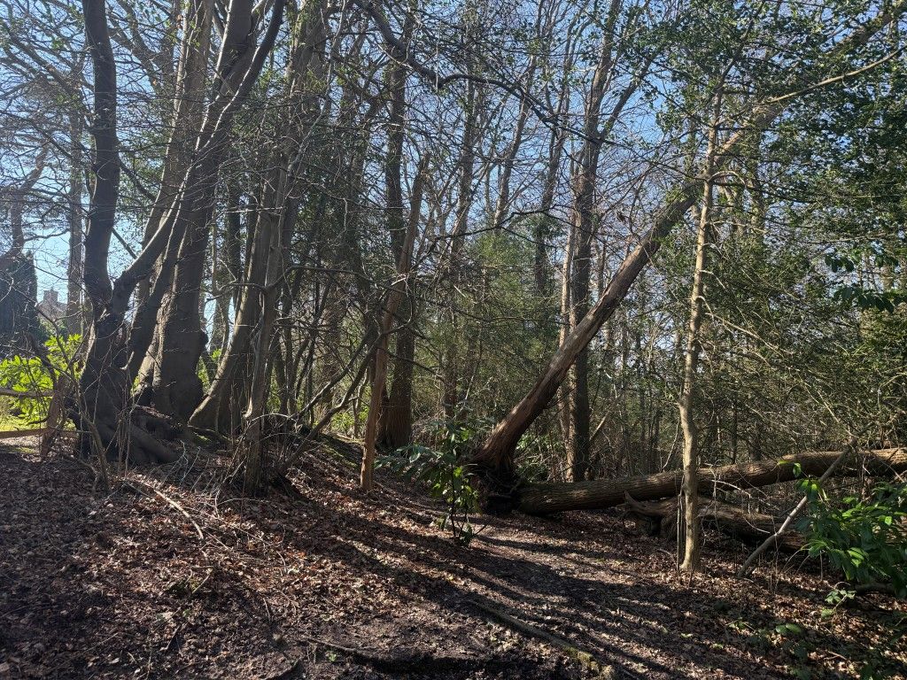 Property photo 1 of 3 Woodland