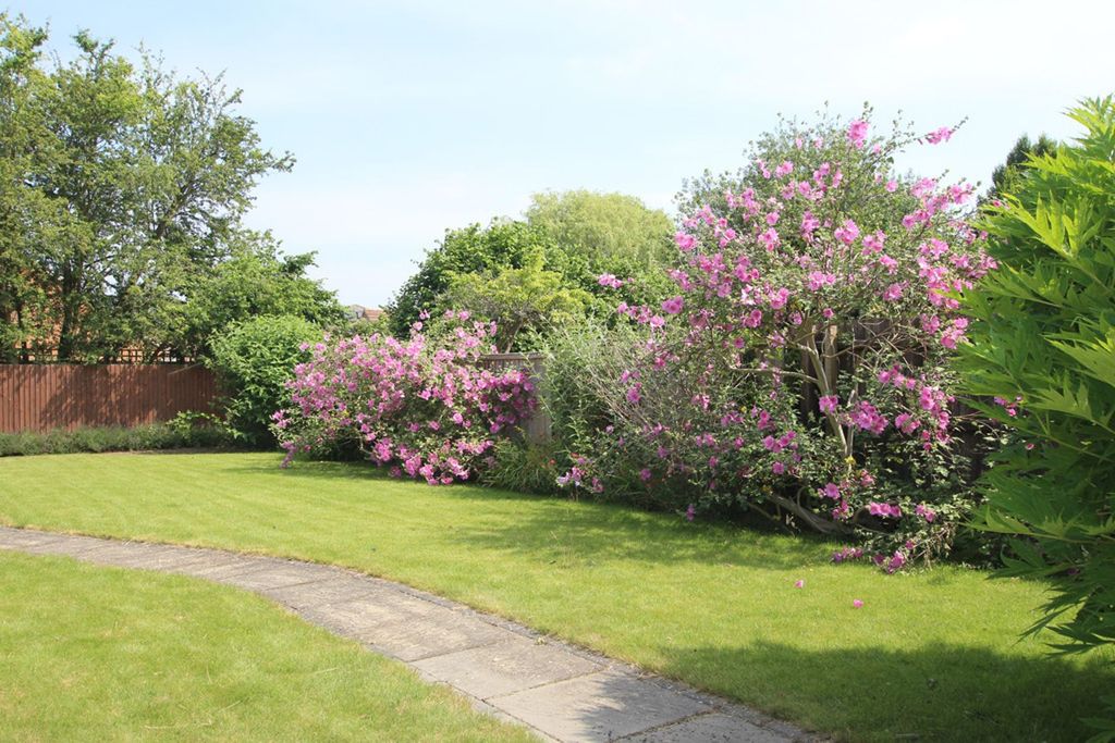 Property photo 3 of 13