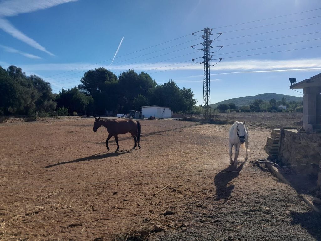 Property photo 1 of 17 17,000 m² Rustic Plot In San Lorenzo