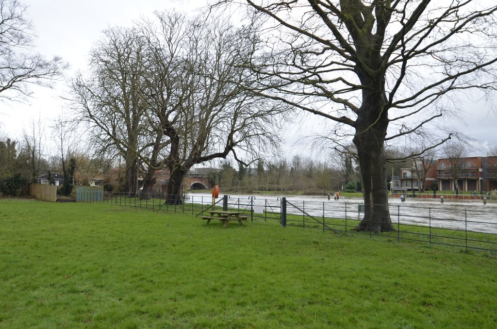 Property photo 3 of 19 _Dsc0032