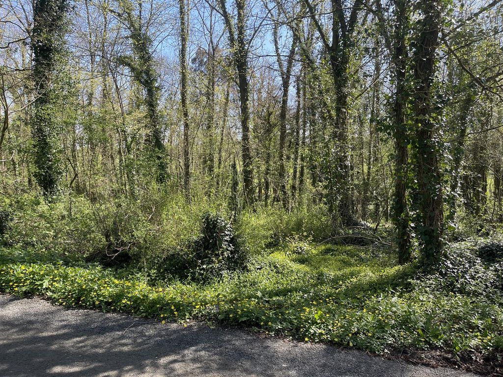 Additional image 4 of Land for saleBradford Lane, Longburton, Sherborne DT9