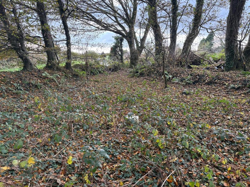 Additional image 4 of Land for saleTrewint, Launceston PL15