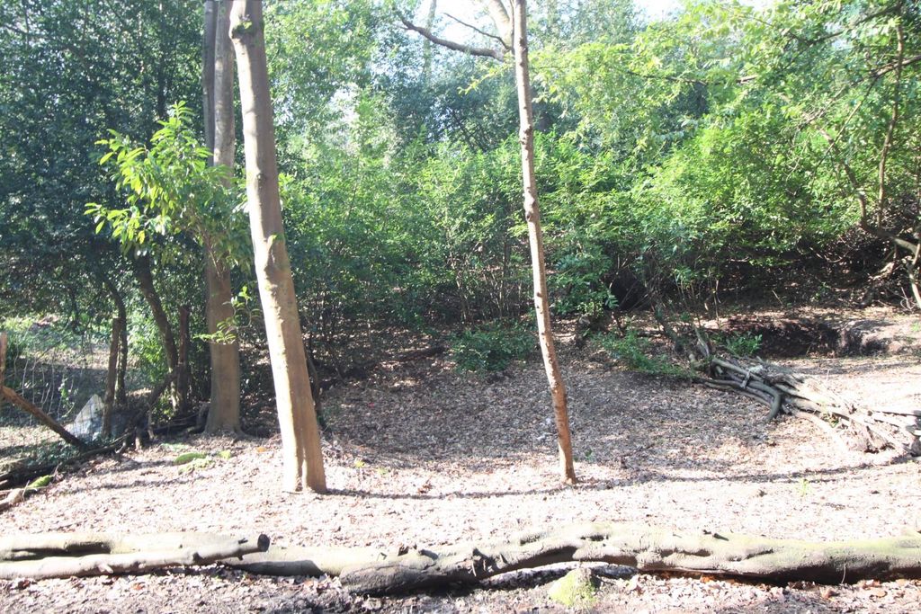 Property photo 1 of 3 Img_9687.Jpg