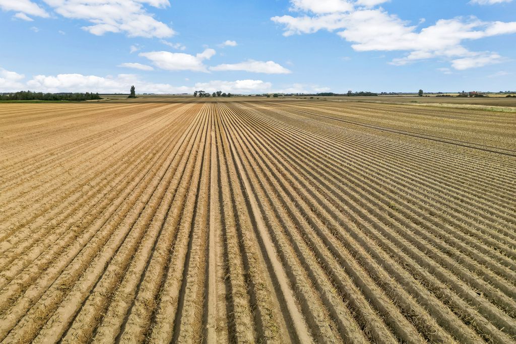 Property photo 2 of 12 Land