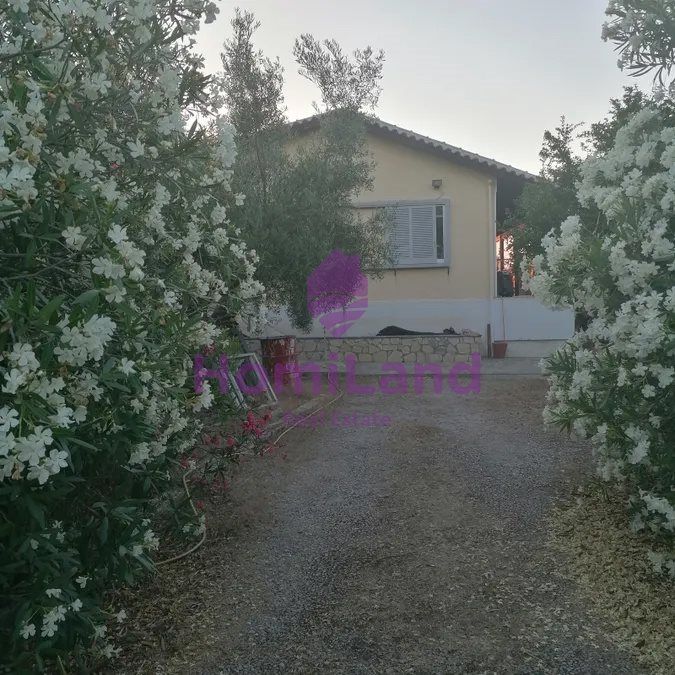 Property photo 1 of 24 - Plot Of Land For Sale, Anthidonos, 4.182 Sq.m., €580.000