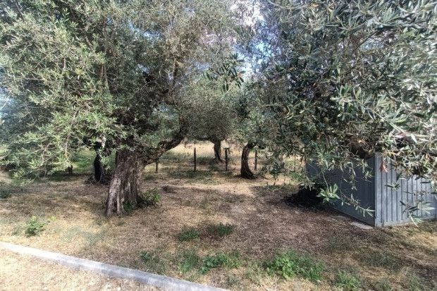 Property photo 3 of 20