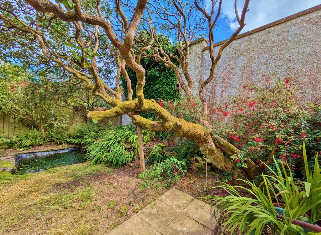 Additional image 14 of 3 bed terraced house for saleLee Road, Lynton EX35