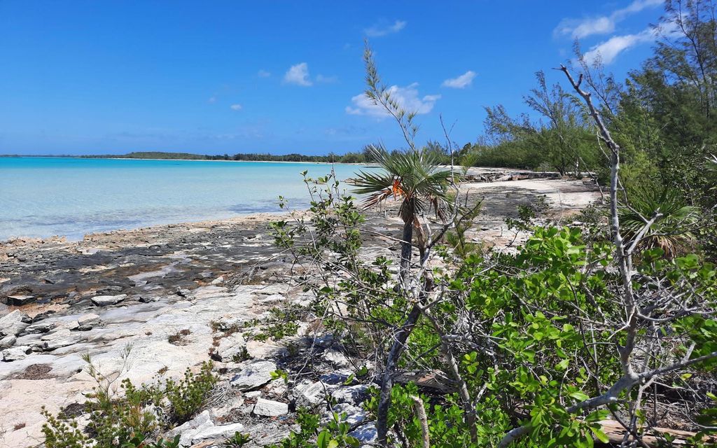 Property photo 3 of 9