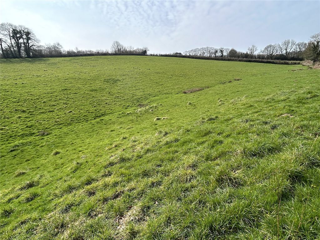 Additional image 12 of Land for saleHollocombe, Chulmleigh, Devon EX18