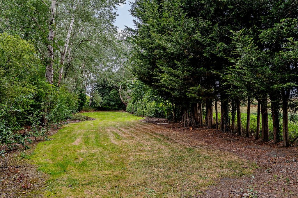 Property photo 3 of 19 Picture No. 03