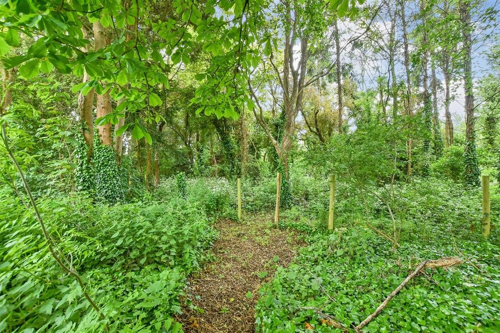 Property photo 3 of 21 Rear Garden