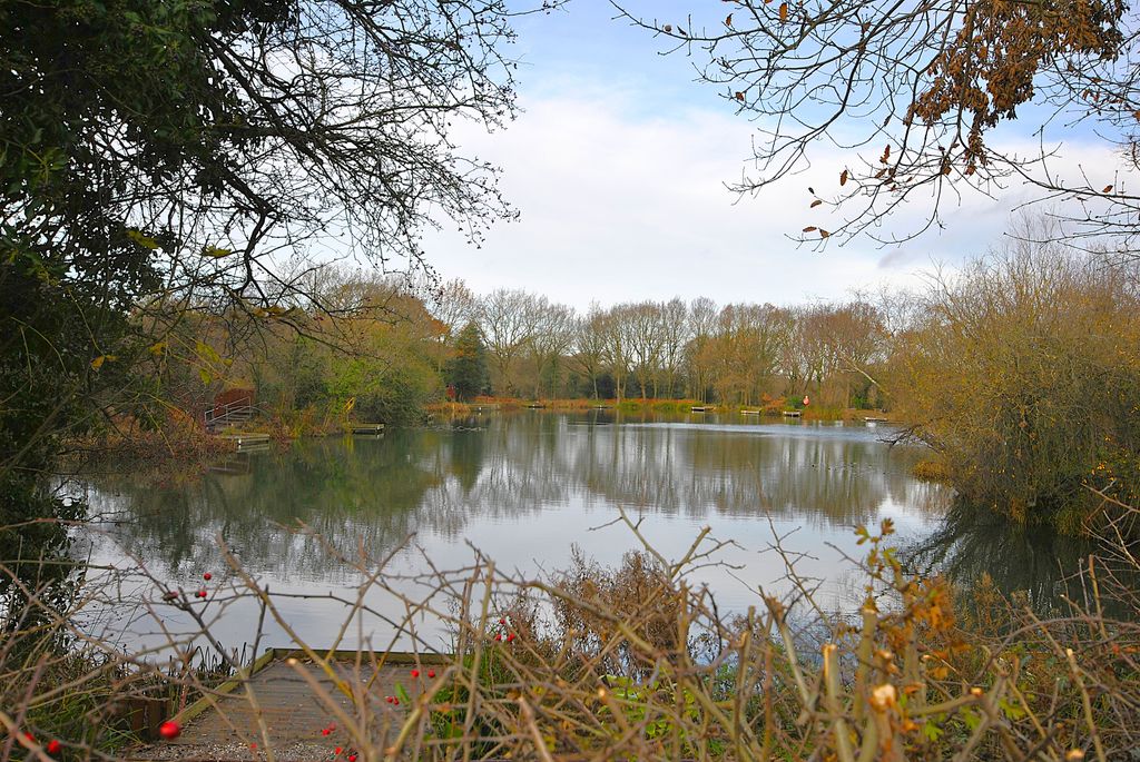 Property photo 3 of 31 _Dsc1380