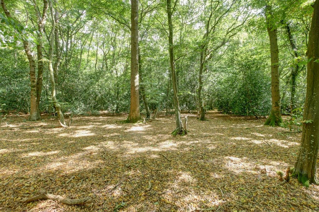 Additional image 39 of 5 bed detached bungalow for saleHempstead Lane, Hailsham BN27