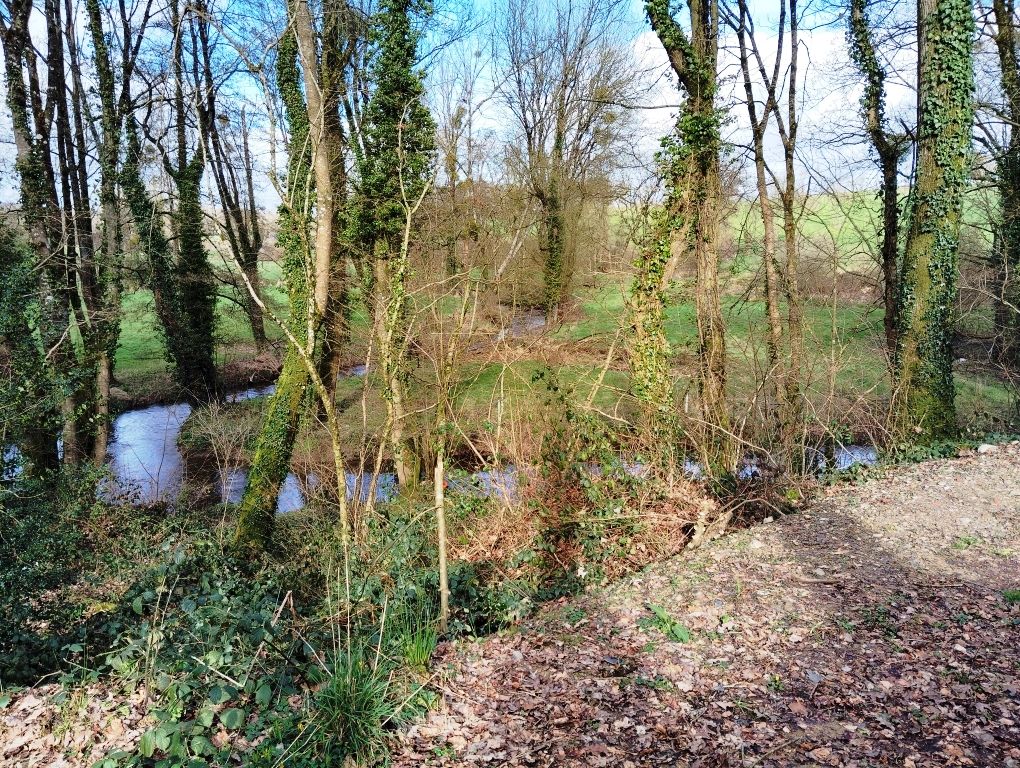 Property photo 3 of 13