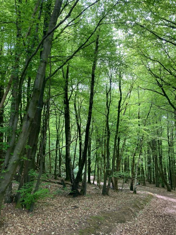 Property photo 3 of 9 Picture No. 02