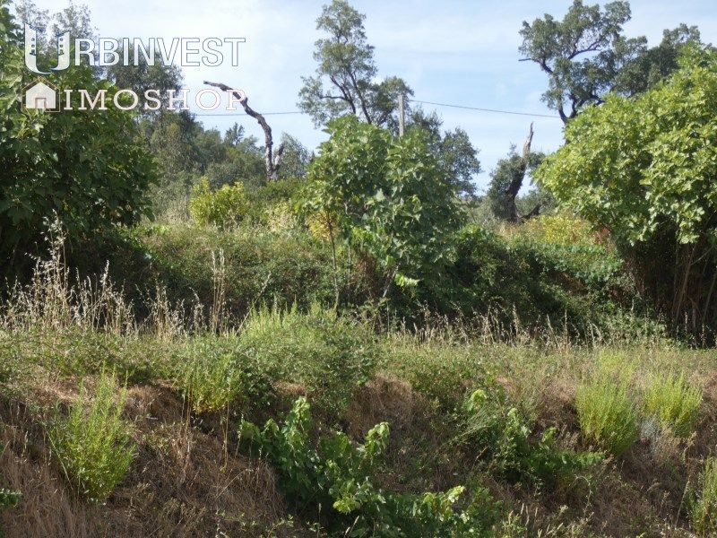 Property photo 1 of 4