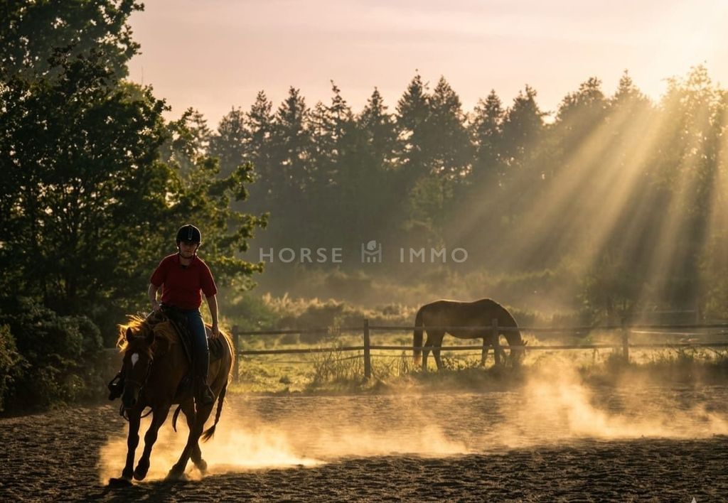 Property photo 1 of 30 10 Minutes From Rennes – Equestrian Property With House