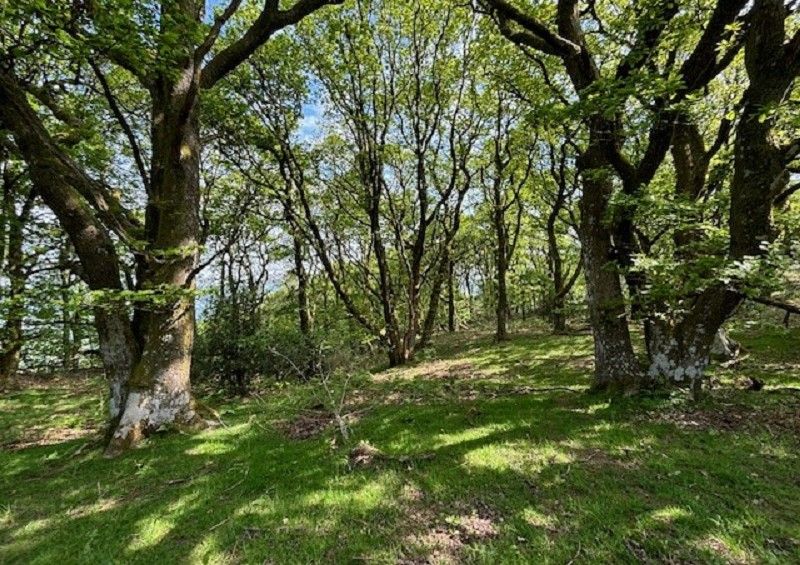 Property photo 3 of 20 Not Specified