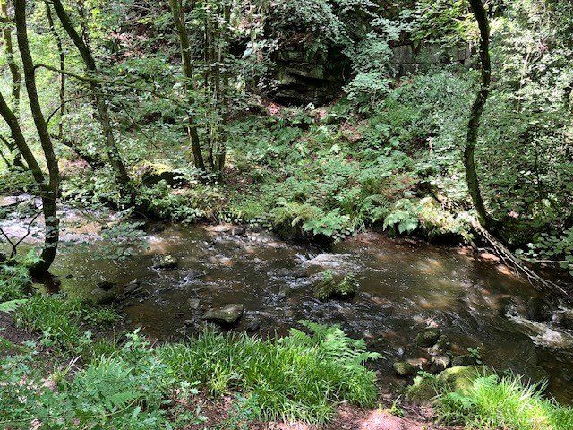 Property photo 3 of 6 Picture No. 05