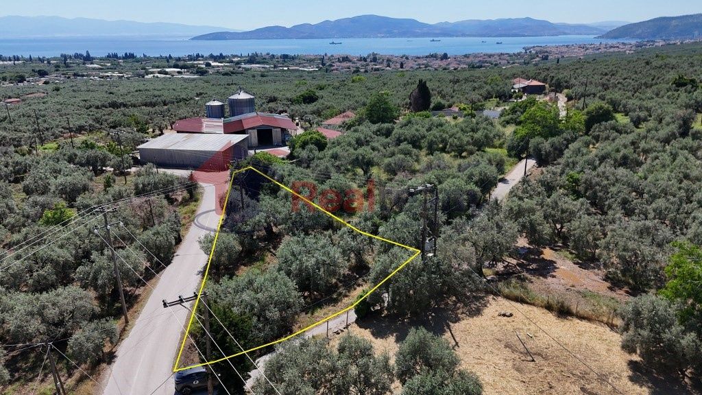 Property photo 2 of 21