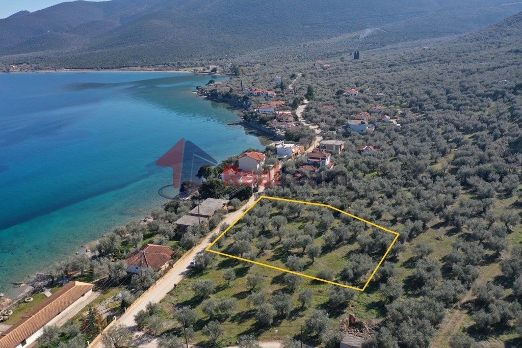 Property photo 1 of 21