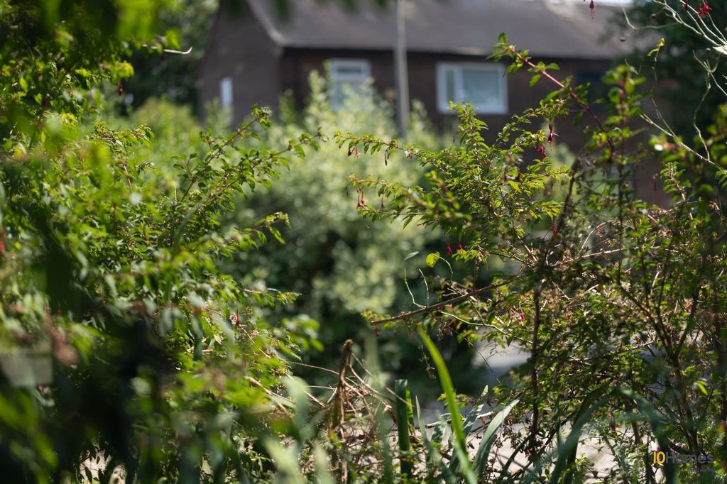 Property photo 3 of 45 Photo 14