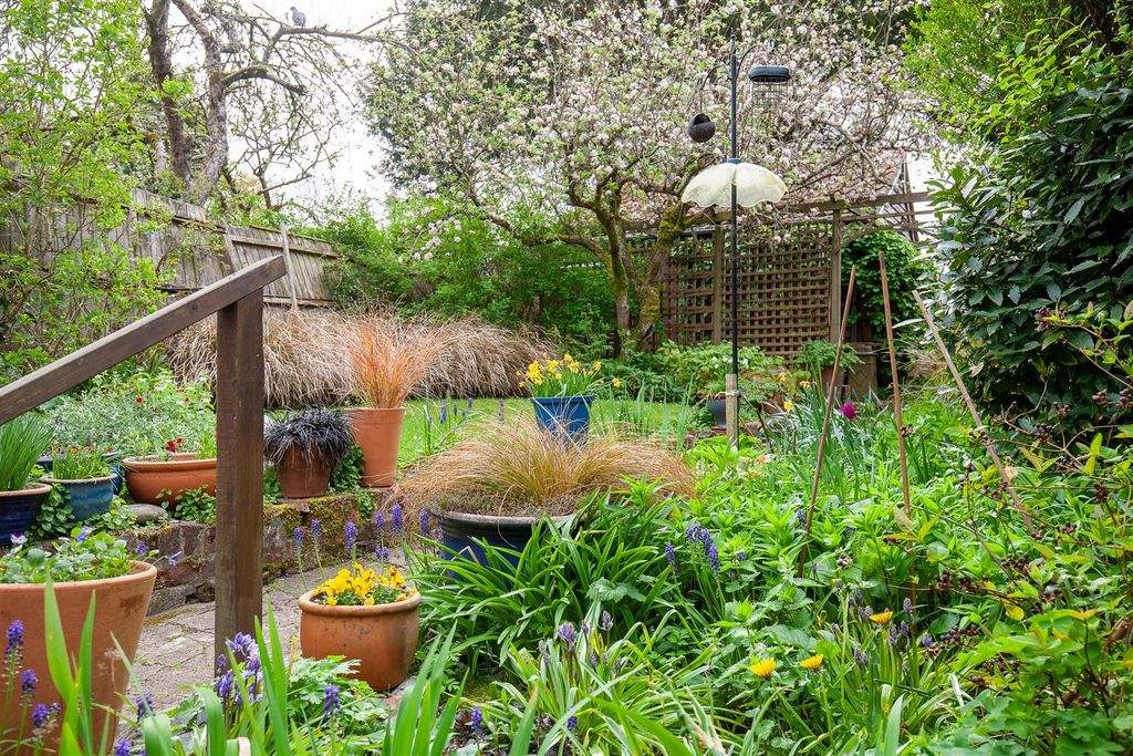 Property photo 3 of 20 Garden