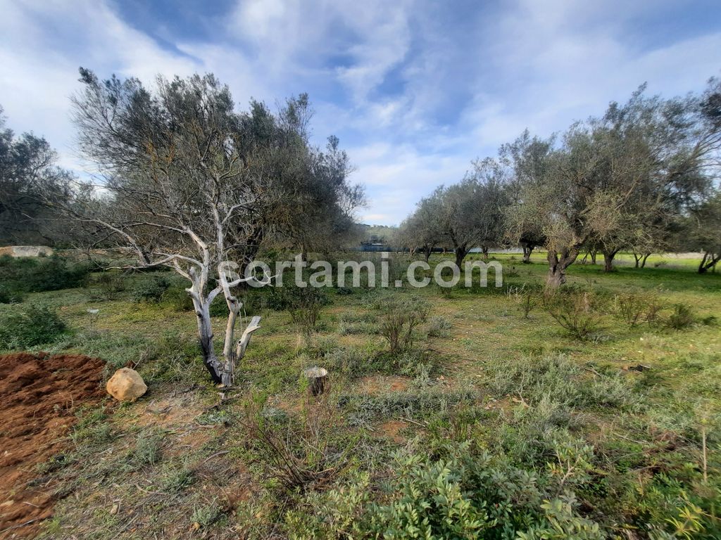 Property photo 1 of 5